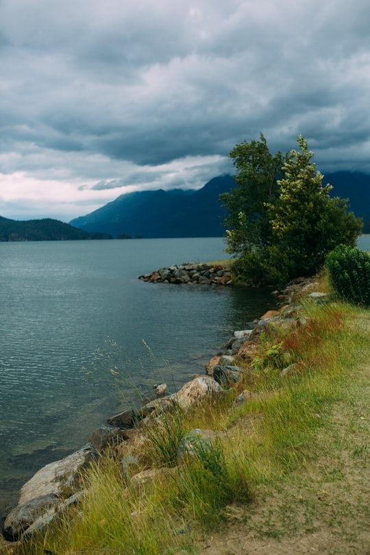 green trees near body of water under cloudy sky during daytime in Harrison Lake Canada