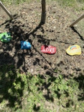 Painted stones with words 'Peace', 'Hope', 'Love', and 'Respect' are placed on the ground near a small tree. Each stone is a different color and has decorative elements, such as peace signs and heart shapes. The area around the stones is grassy and has some patches of dirt and fallen leaves.