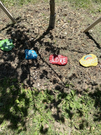 Painted stones with words 'Peace', 'Hope', 'Love', and 'Respect' are placed on the ground near a small tree. Each stone is a different color and has decorative elements, such as peace signs and heart shapes. The area around the stones is grassy and has some patches of dirt and fallen leaves.