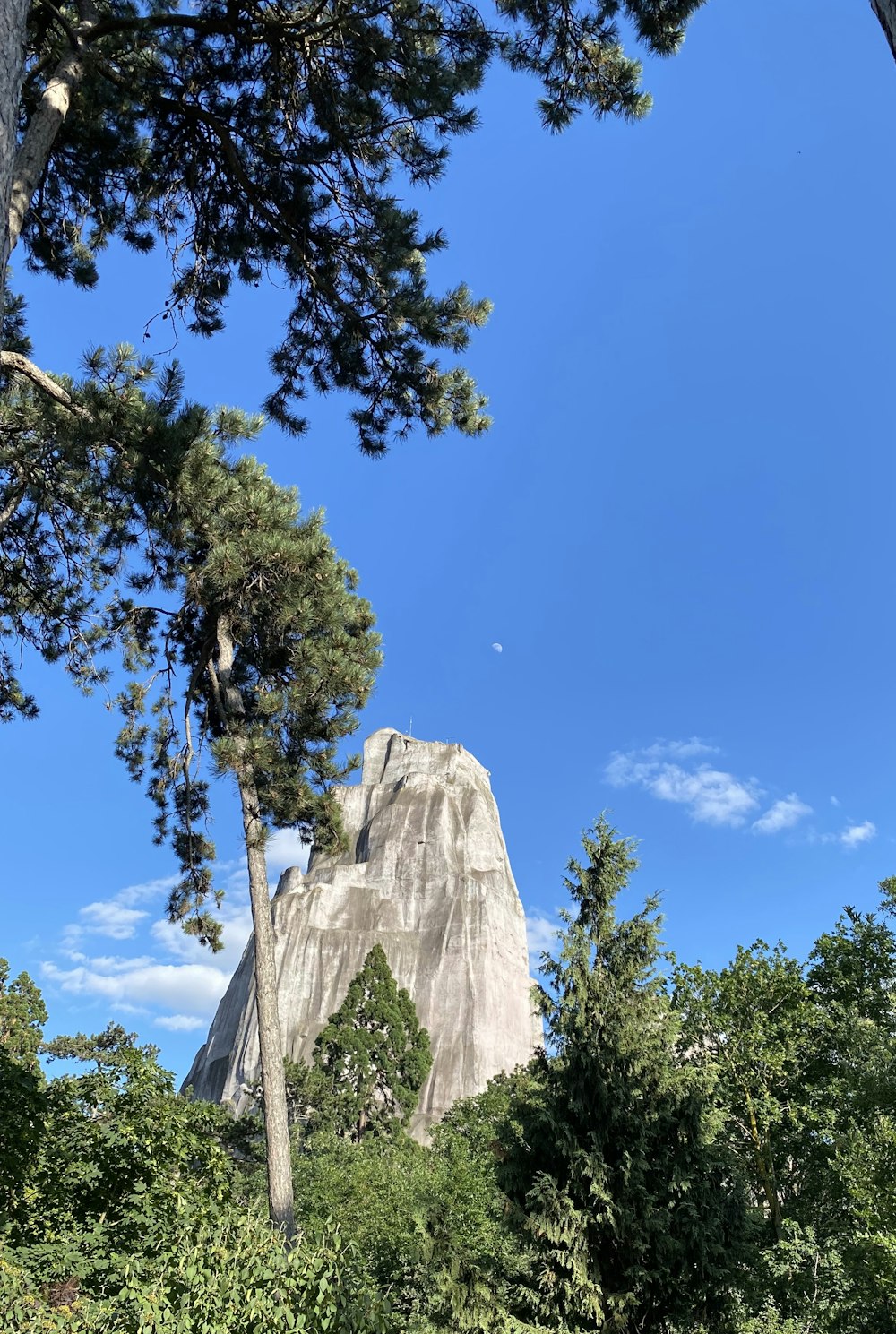 green tree near gray rock formation under blue sky during daytime