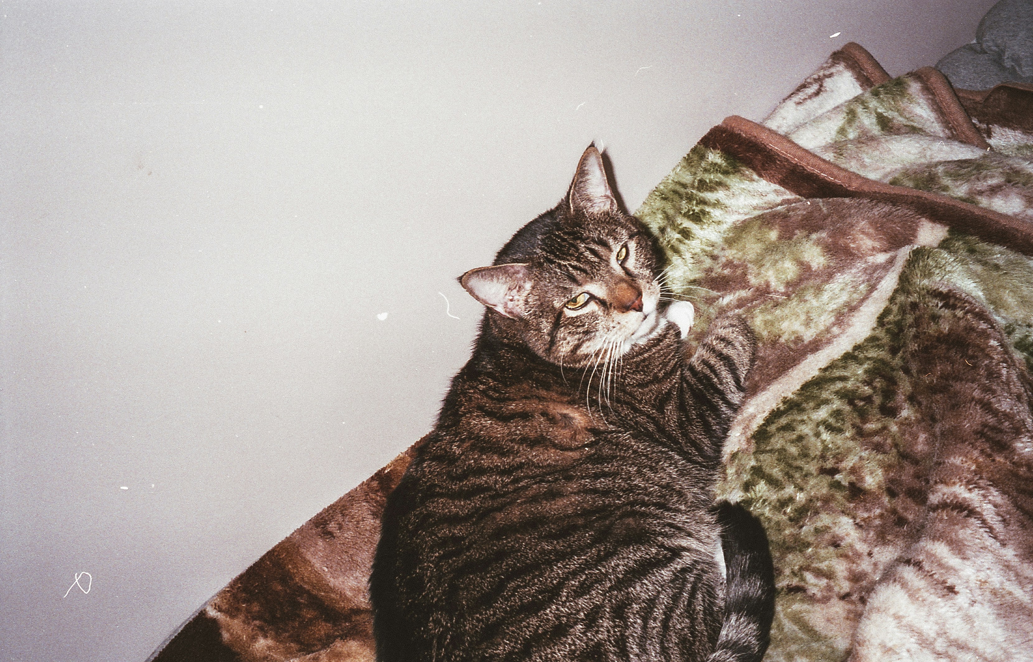 Photo by romandempire