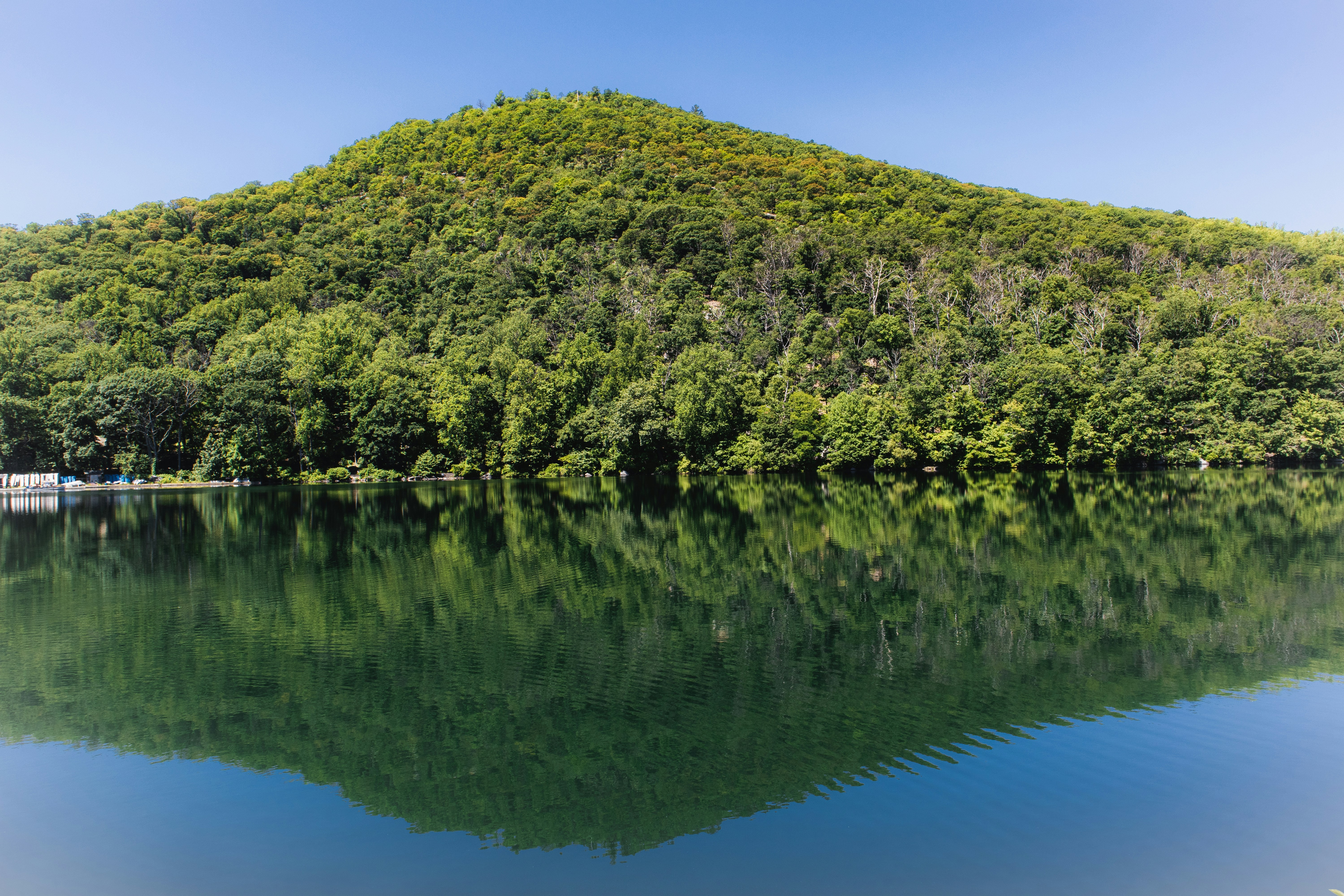 green trees on island during daytime, 6.17.20