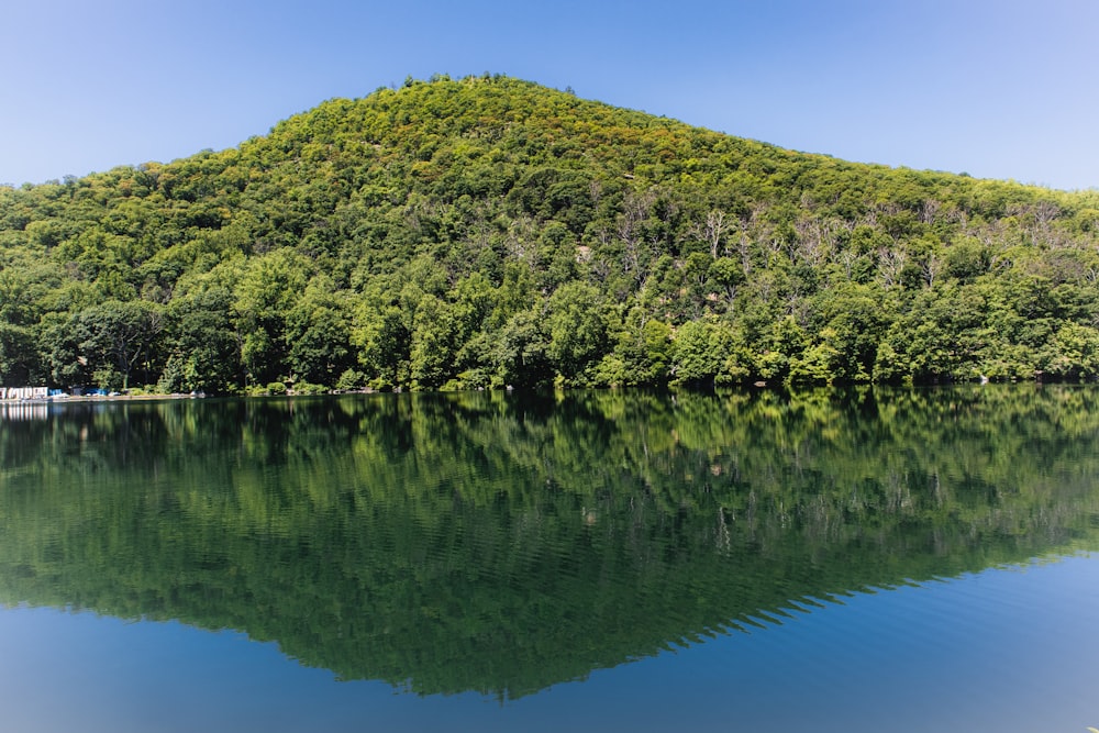 green trees on island during daytime