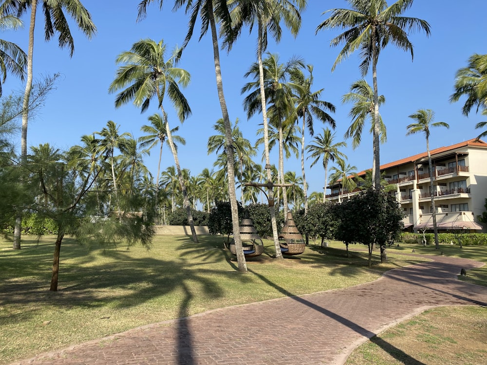 green palm trees near brown house during daytime