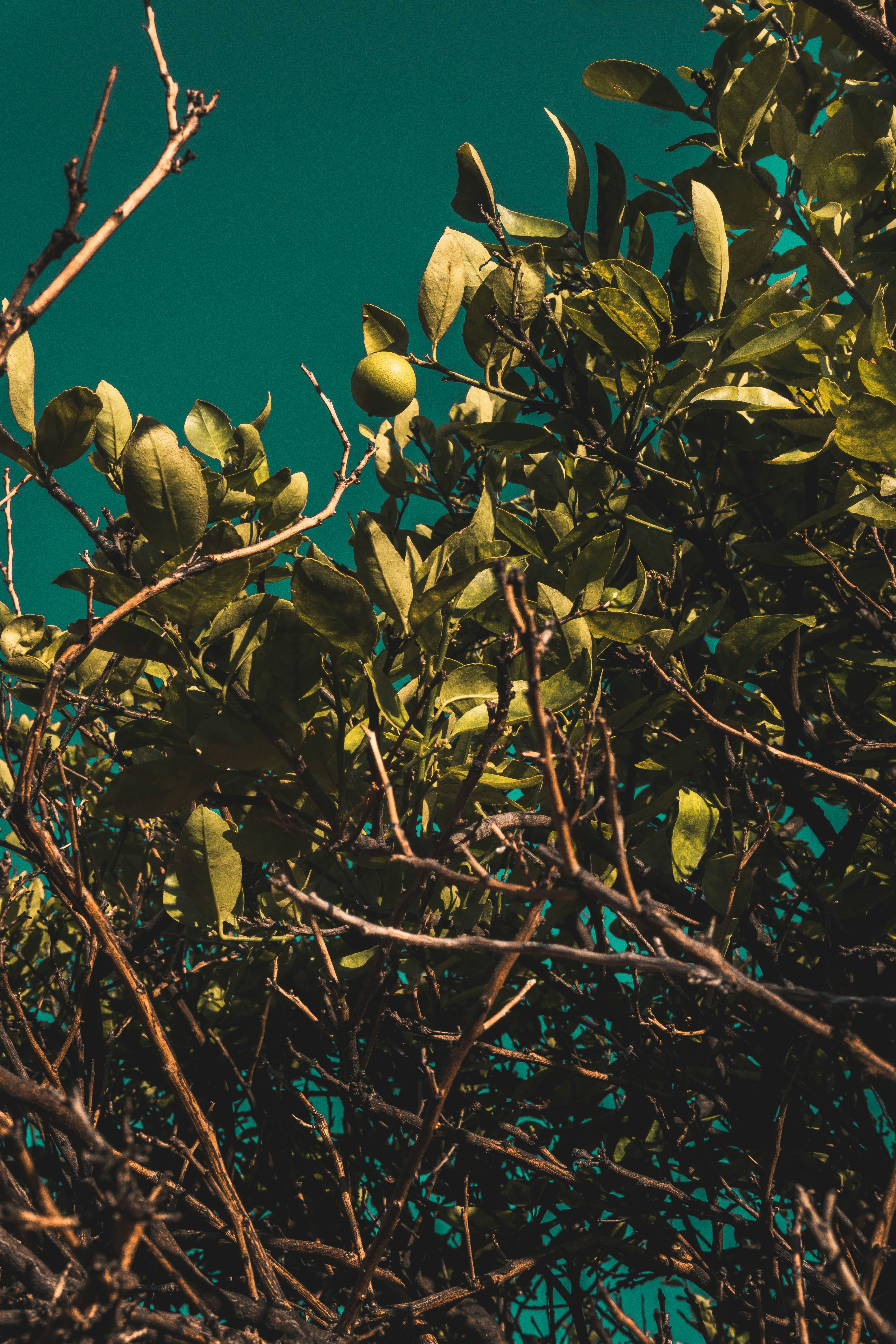 Photo by alejandromoron27