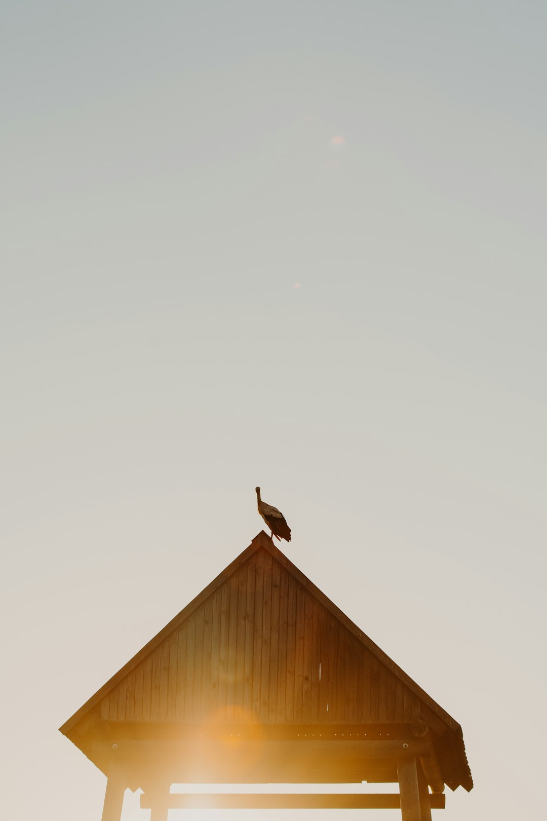 brown wooden bird house under white sky during daytime