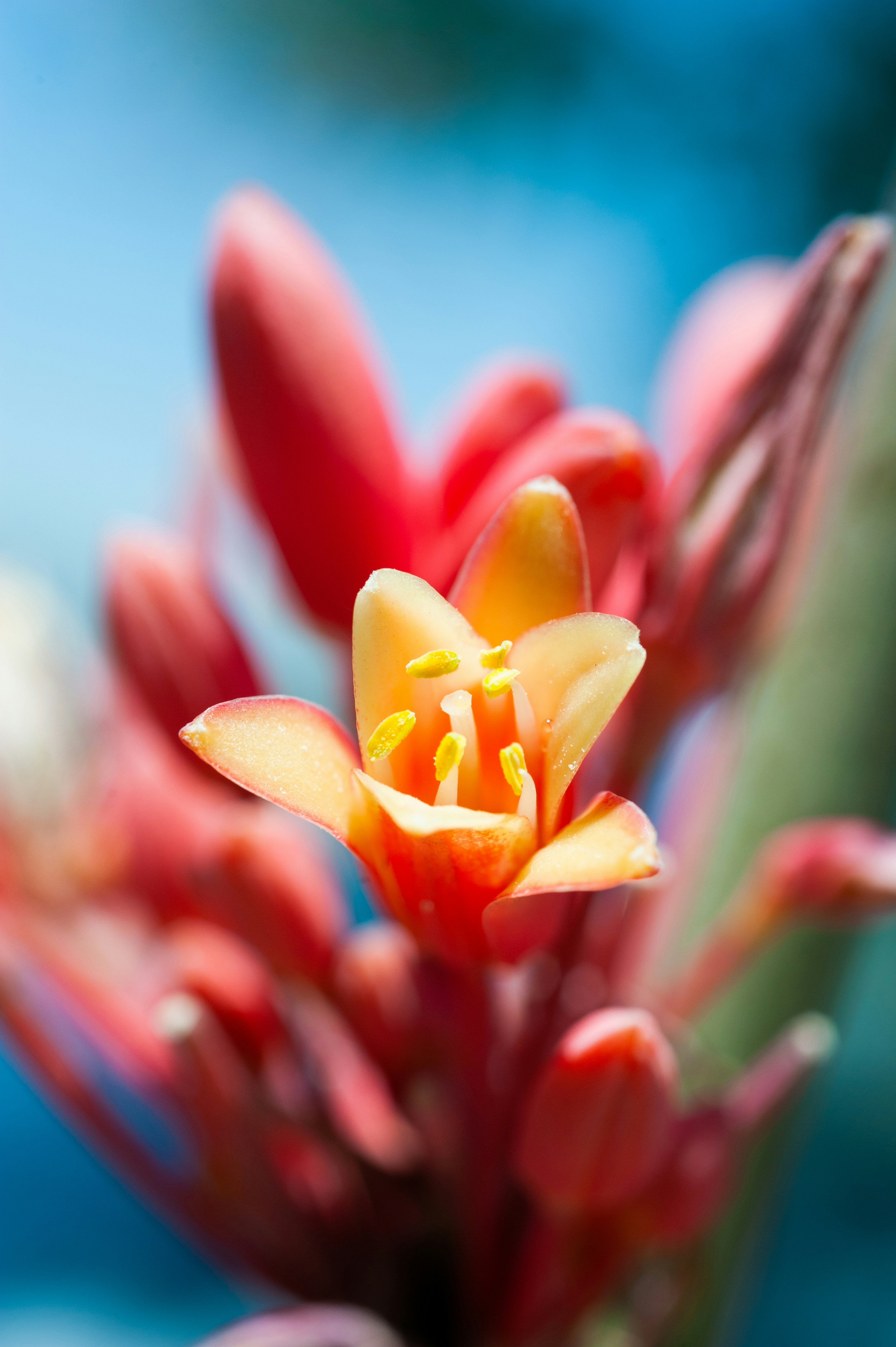 Photo by luisjlara343