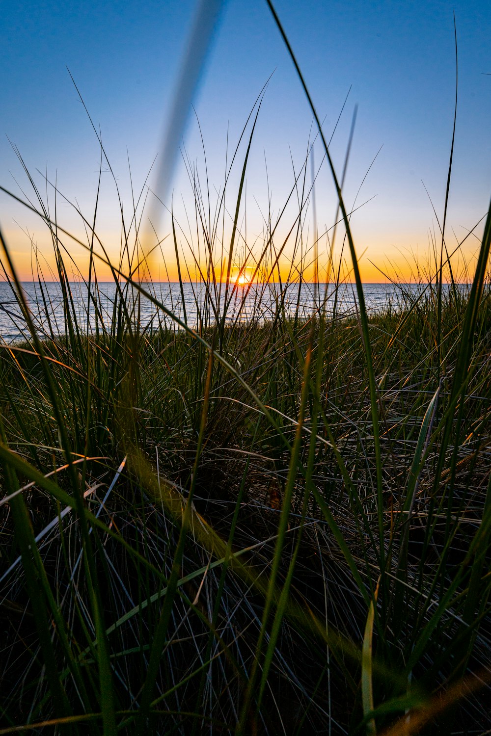 green grass field during sunset