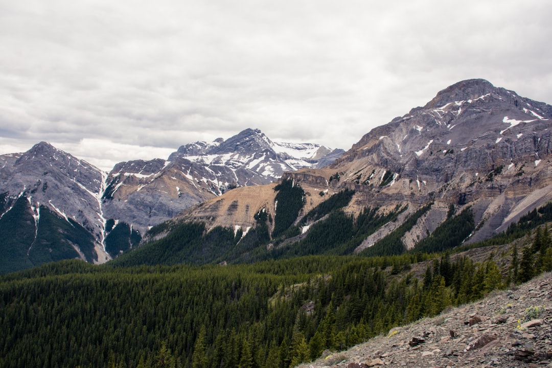 Hill station photo spot Allstones Peak Icefields Parkway