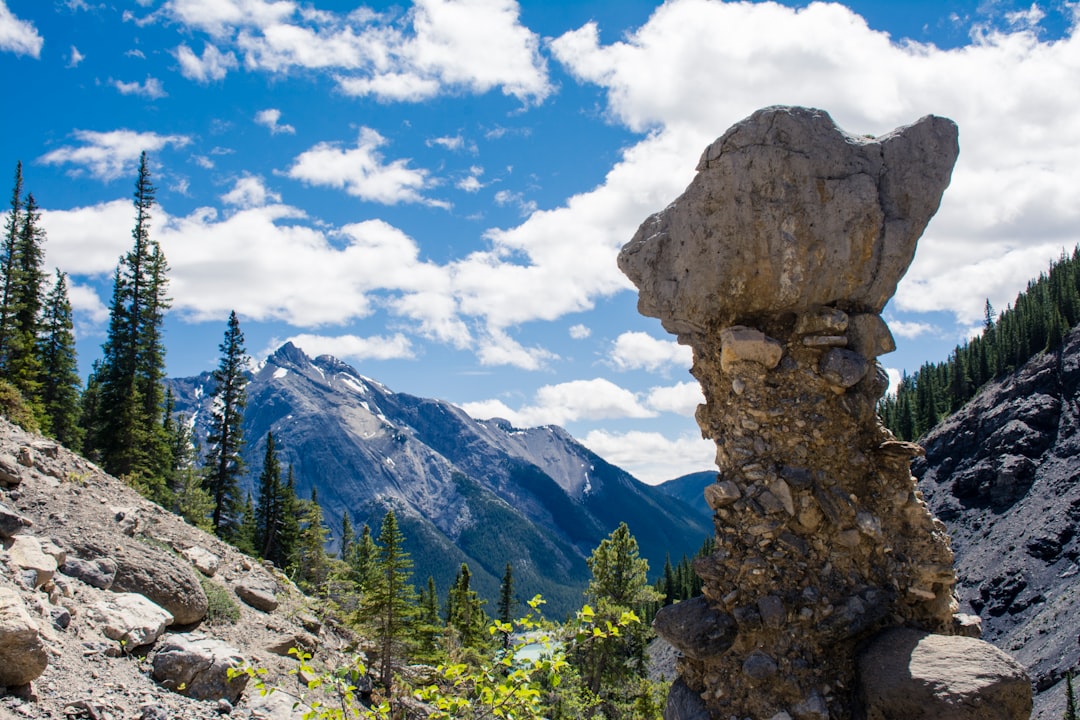 Nature reserve photo spot Nordegg Clearwater County