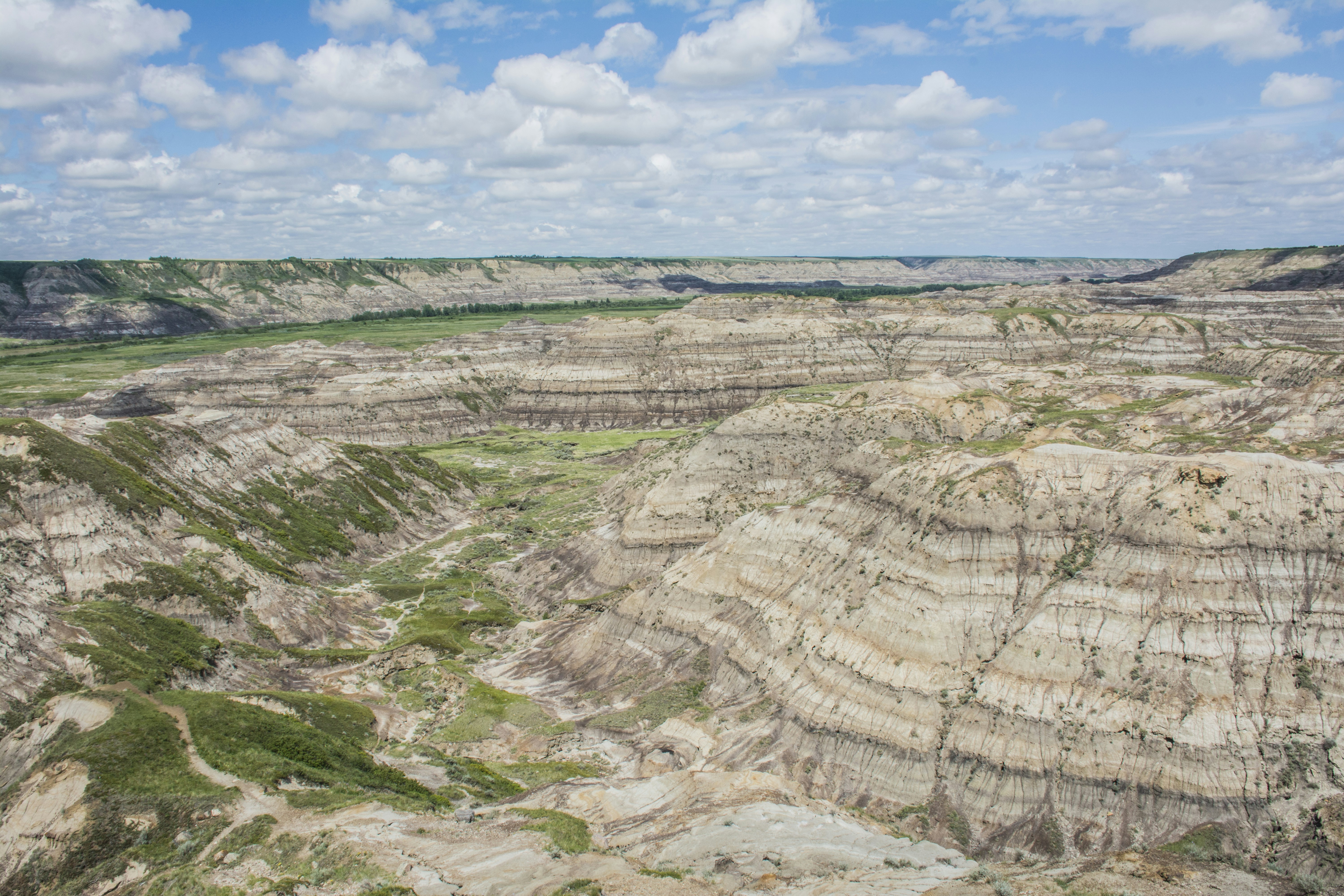 Photo by sharissajohnson