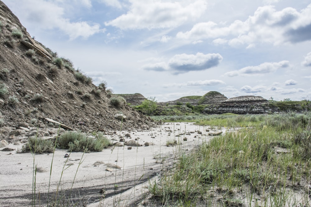 Grünes Grasfeld und weißer Sand tagsüber