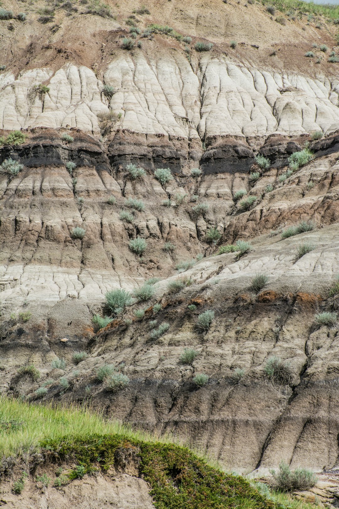 Badlands photo spot Drumheller Horseshoe Canyon