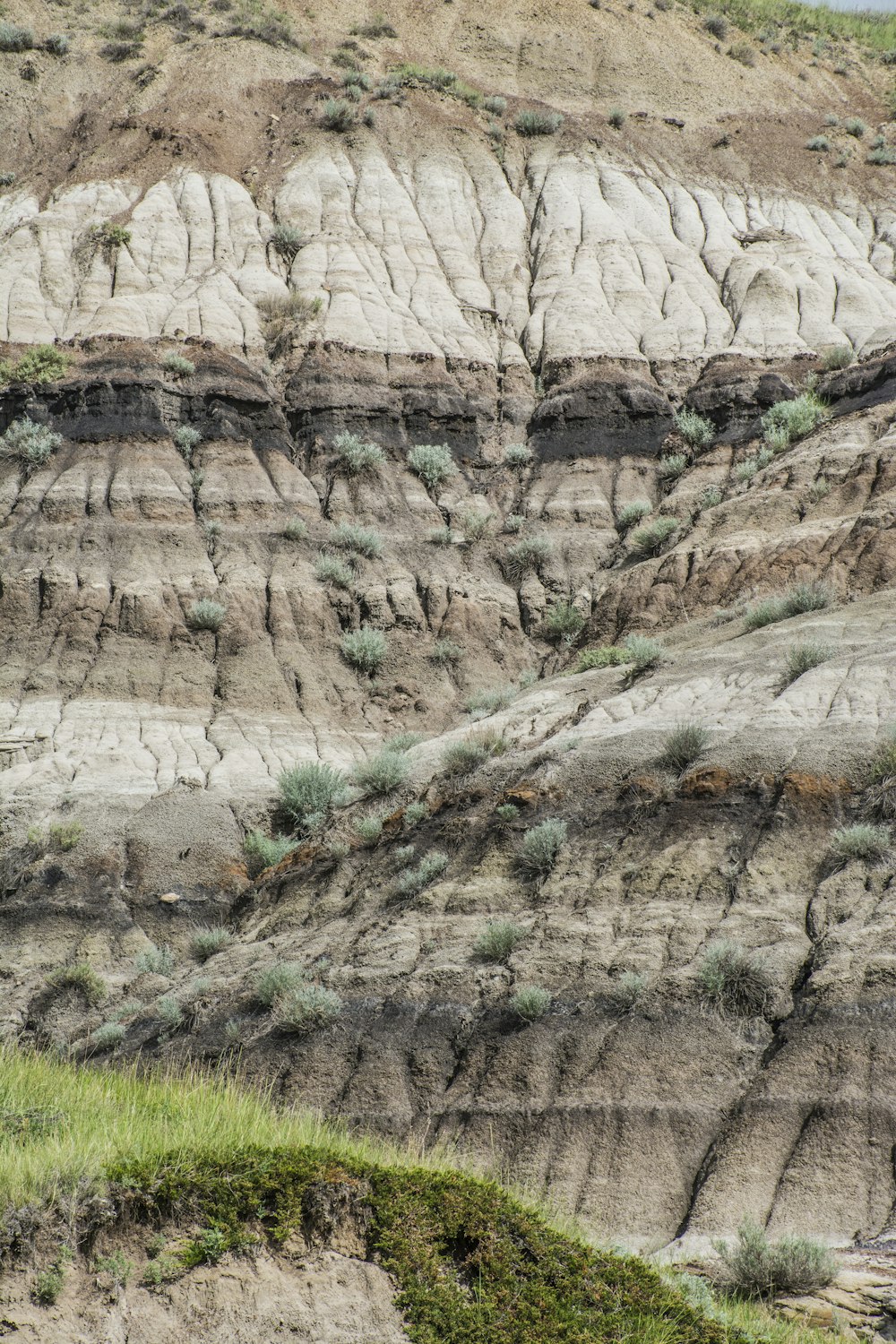 brown rock formation during daytime