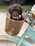 A fluffy brown puppy sits comfortably in a brown woven basket attached to the front of a vintage-style mint green bicycle. The puppy is wearing a colorful fabric collar. The bicycle has cream-colored tires with a decorative pattern.