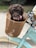 A fluffy brown puppy sits comfortably in a brown woven basket attached to the front of a vintage-style mint green bicycle. The puppy is wearing a colorful fabric collar. The bicycle has cream-colored tires with a decorative pattern.