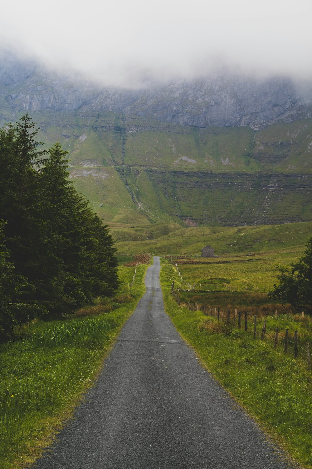 gray concrete road between green grass field and trees during daytime