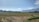 A vast agricultural field stretches across the landscape, with green and golden crops under a clear blue sky. The horizon is marked by a range of mountains, partially obscured by a light mist. Palm trees and other vegetation line the field's edge, adding to the lush setting. A small sign is staked in the ground on the left, indicating perhaps a division or crop information.