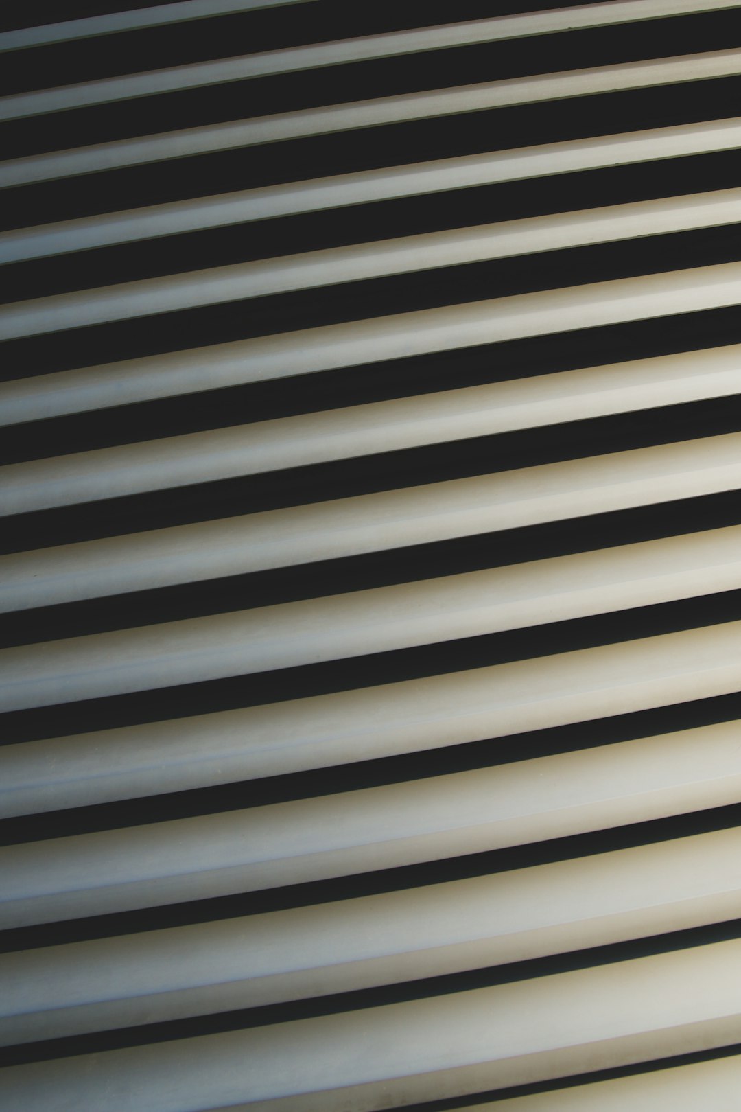 white and black window blinds