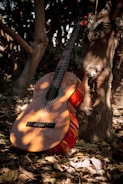 A musician strumming a guitar under the shade of a tree in a rural setting.