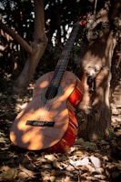 A classical guitar rests against the trunk of a tree amidst a forest setting. Dappled sunlight filters through the leaves, casting patterns on the guitar and the ground, which is covered with dry leaves.