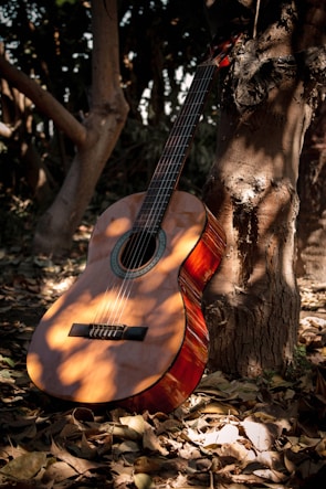 A classical guitar rests against the trunk of a tree amidst a forest setting. Dappled sunlight filters through the leaves, casting patterns on the guitar and the ground, which is covered with dry leaves.