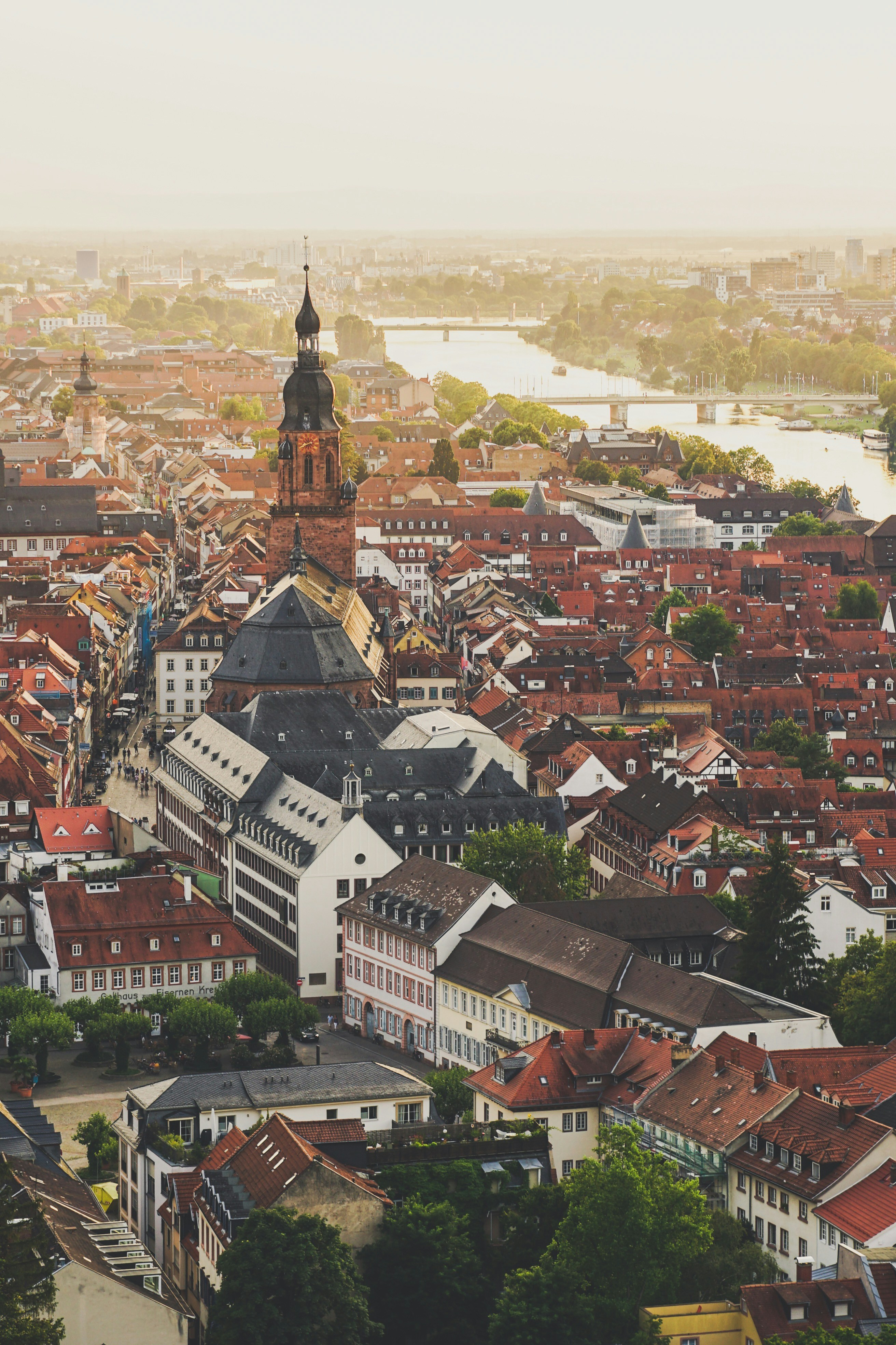 edificio in cemento bianco e marrone