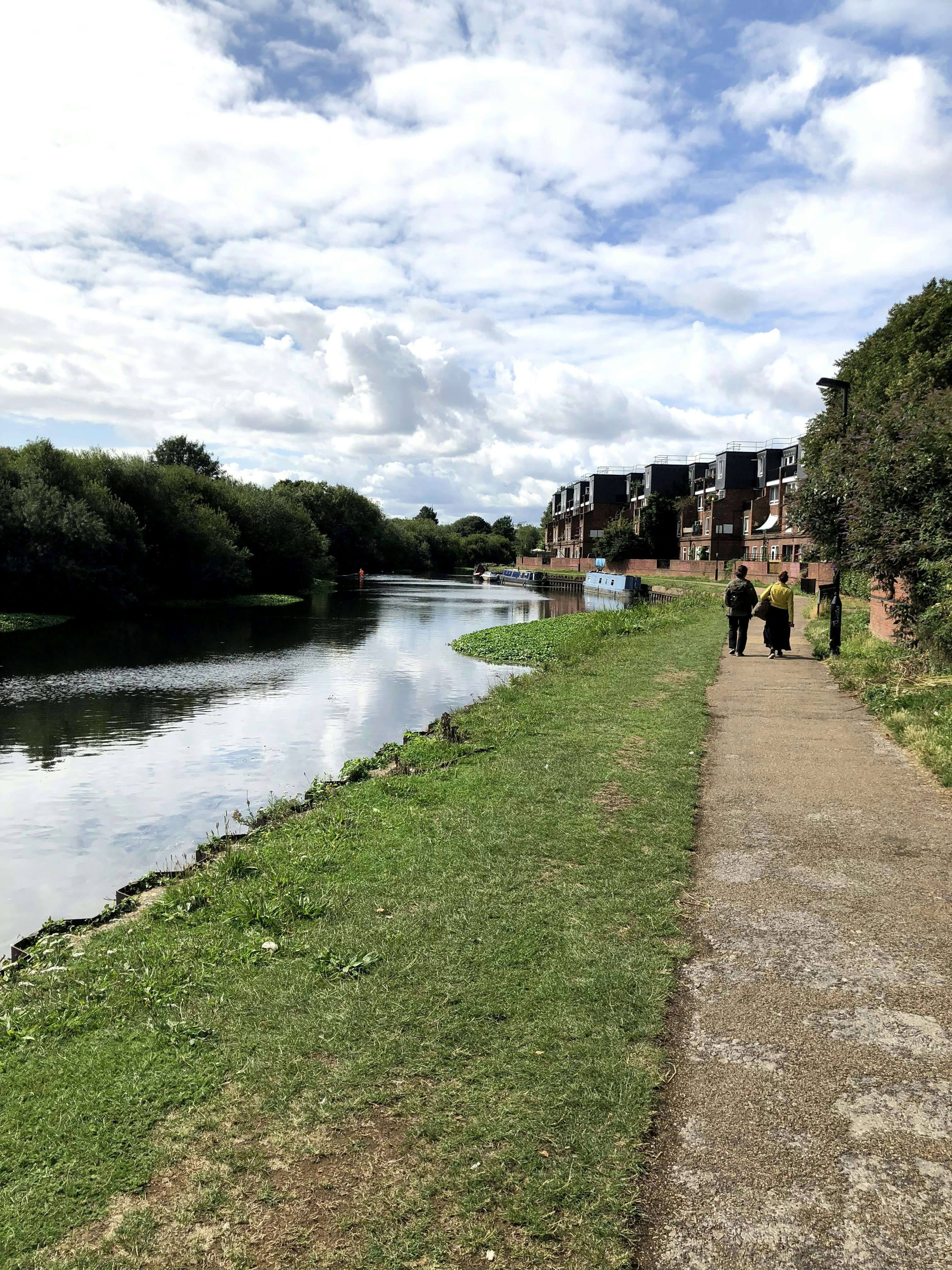 people walking on green grass field near river during daytime