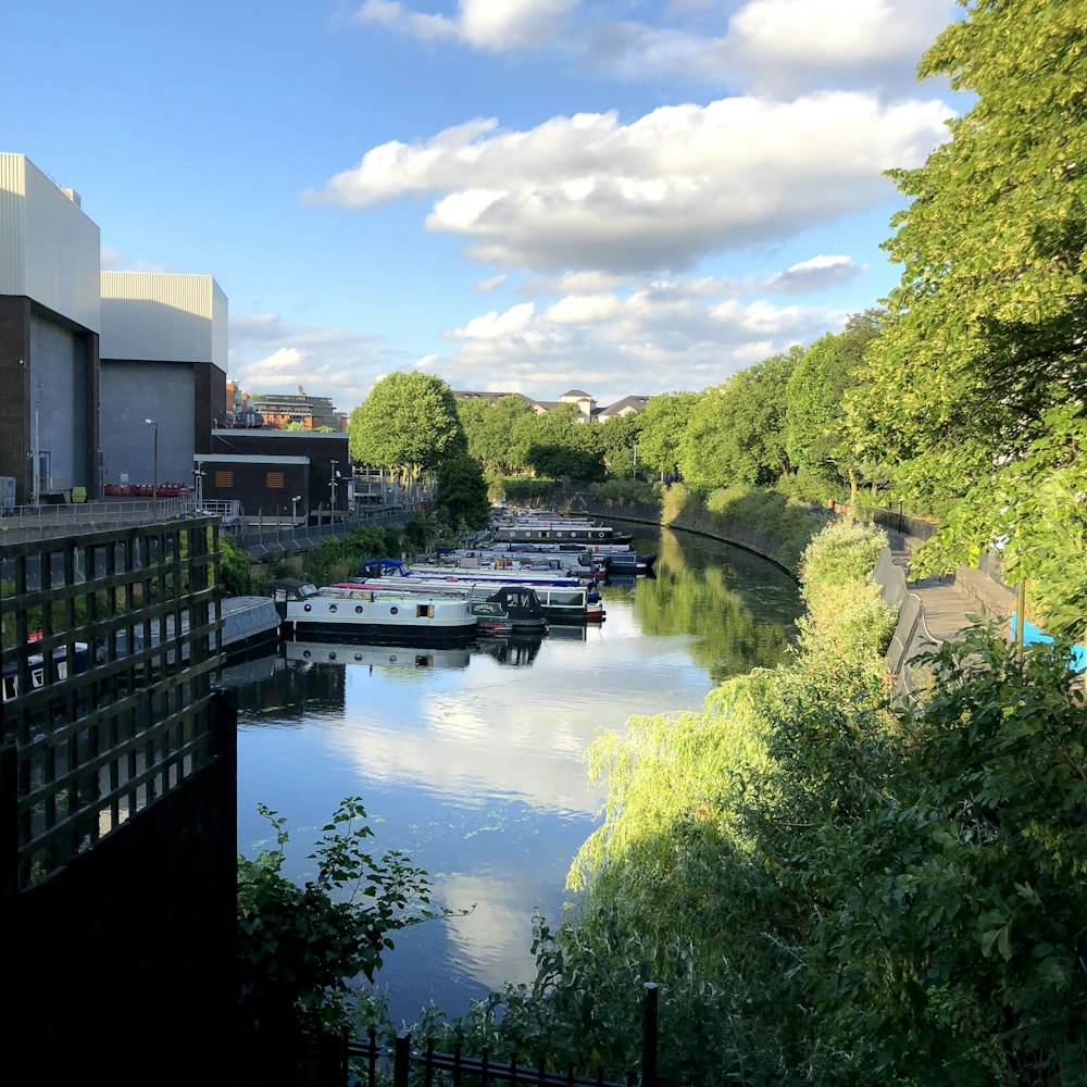 river between green trees and buildings under blue sky during daytime