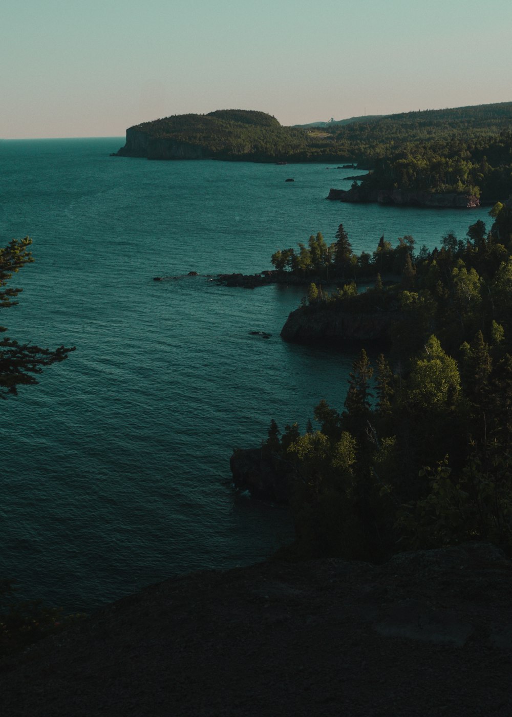 green trees on island during daytime