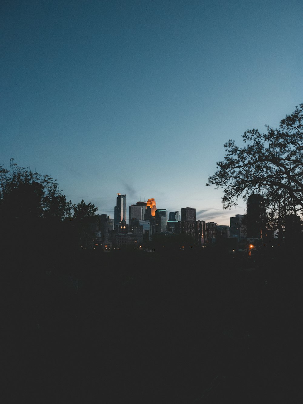 silhouette of trees and buildings during night time