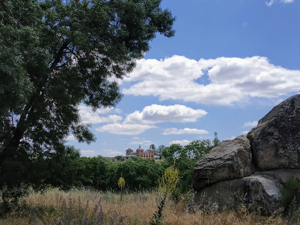 green trees and brown rock formation under blue sky and white clouds during daytime