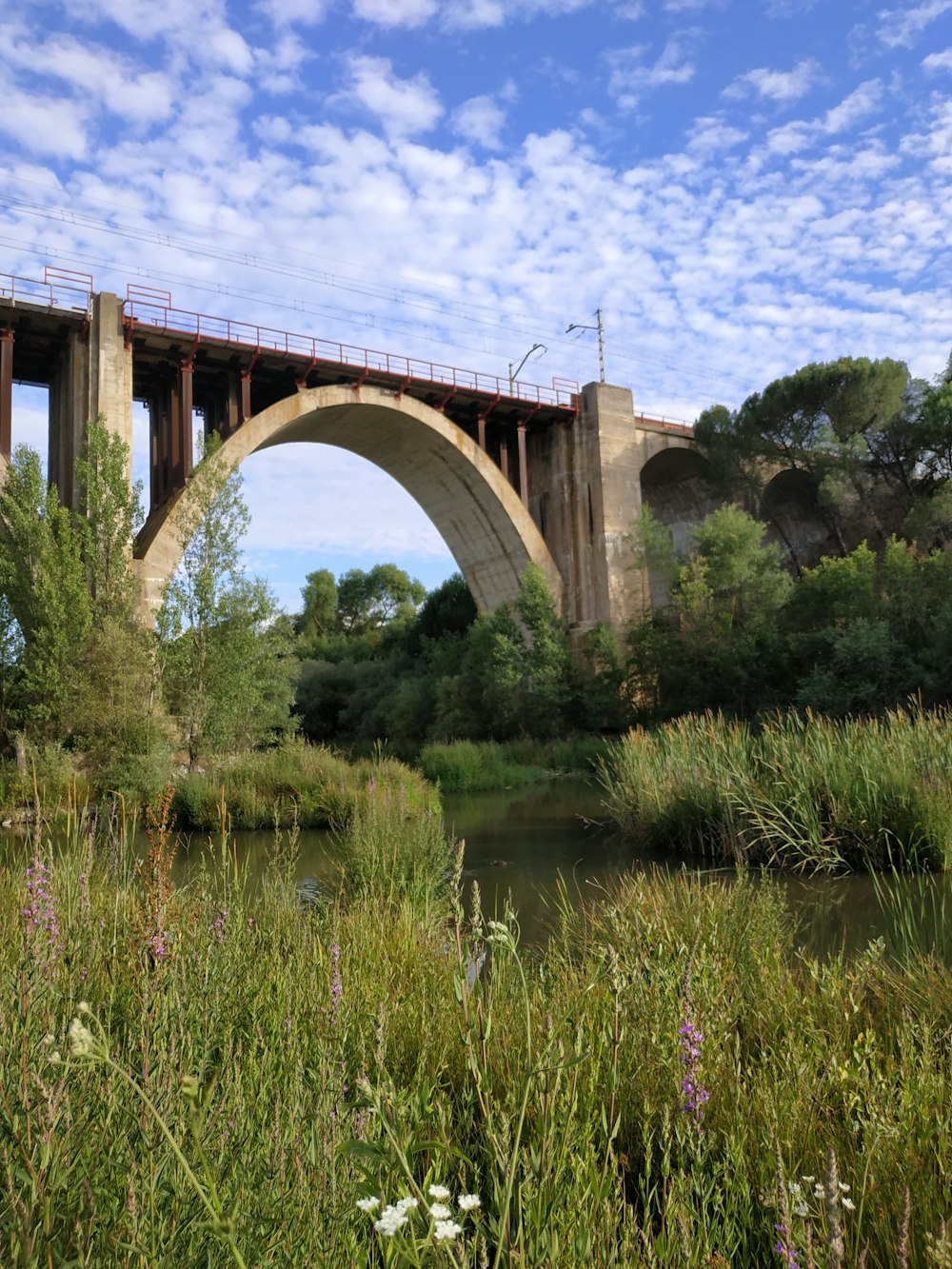 green grass and green trees near brown concrete bridge under white clouds and blue sky during