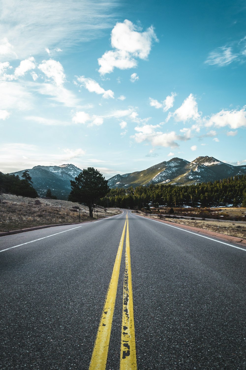 gray concrete road near green trees and mountain under blue sky during daytime