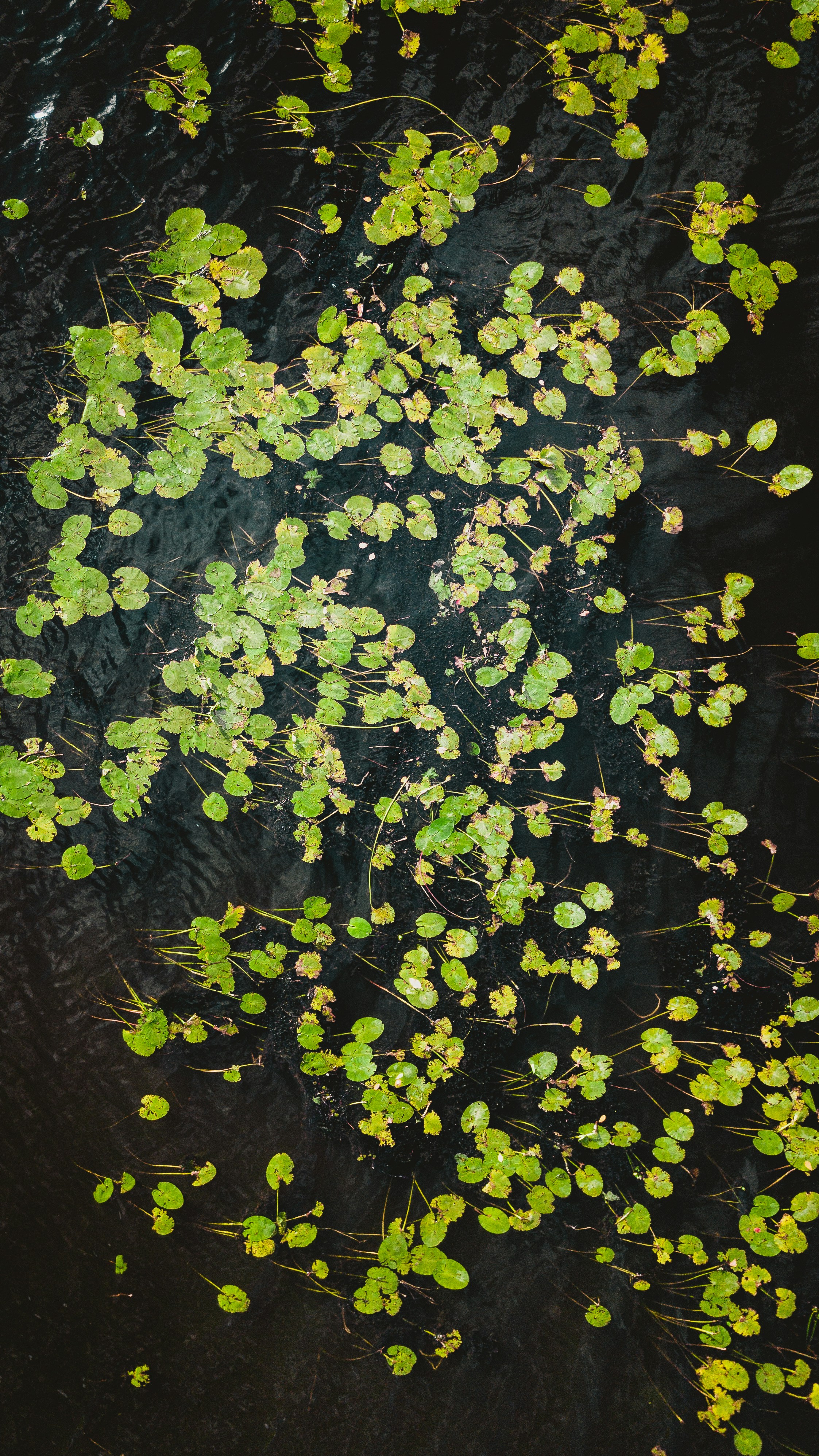 Photo by unstable_affliction