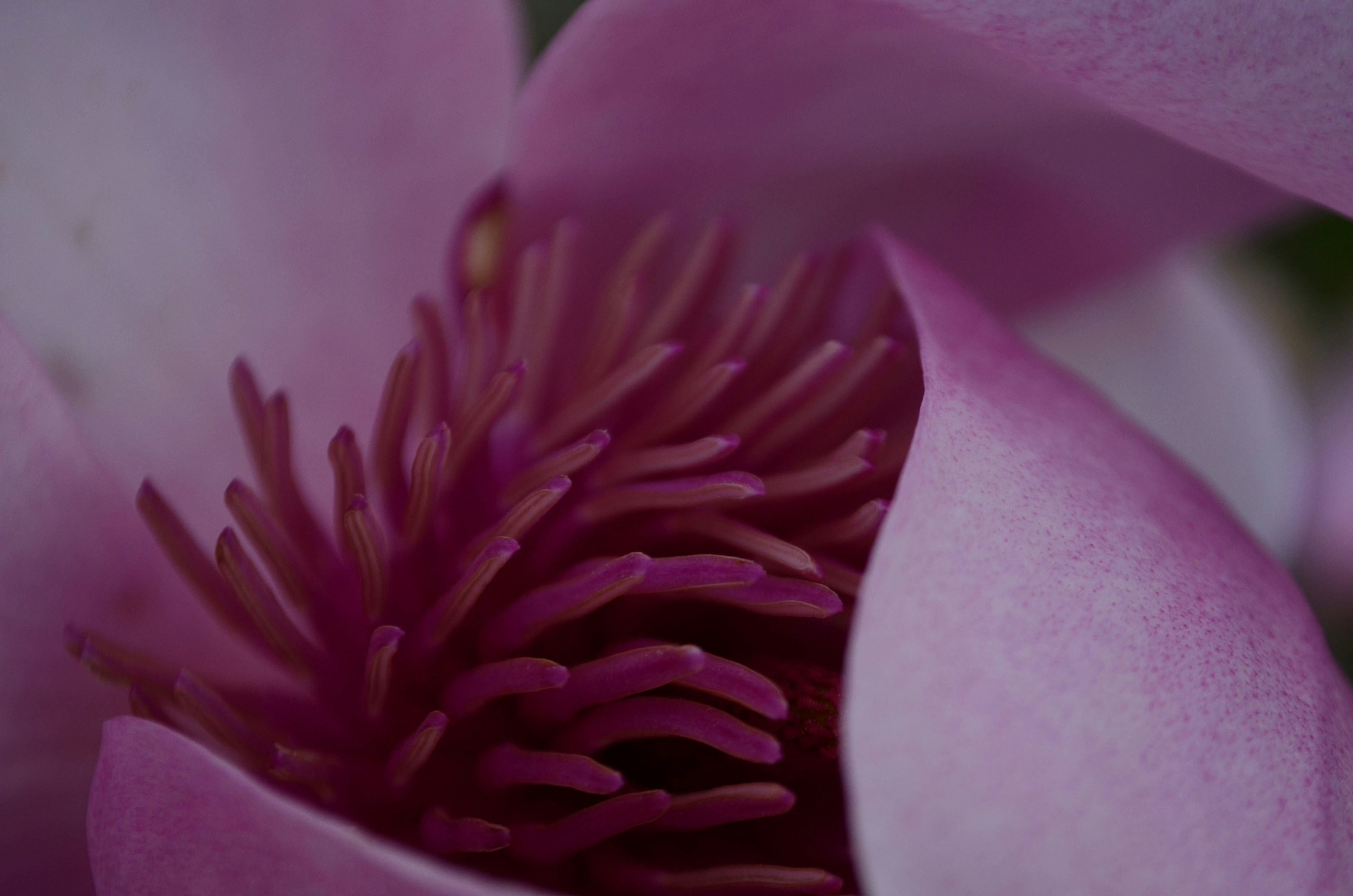 Photo by hannahcarney