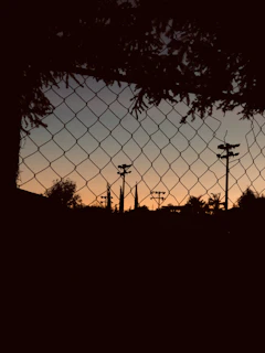 Close-up of a sturdy green military-style chain-link fence installed around a property at sunset.