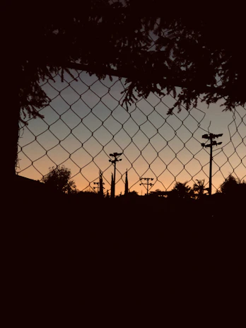 Close-up of a sturdy green military-style chain-link fence installed around a property at sunset.