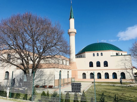 A mosque with a large green dome and accompanying minaret is situated in a grassy area surrounded by a fence. The mosque's architecture features multiple arched windows and a cream-colored exterior. A large leafless tree stands prominently beside the mosque, while a clear blue sky forms the backdrop.