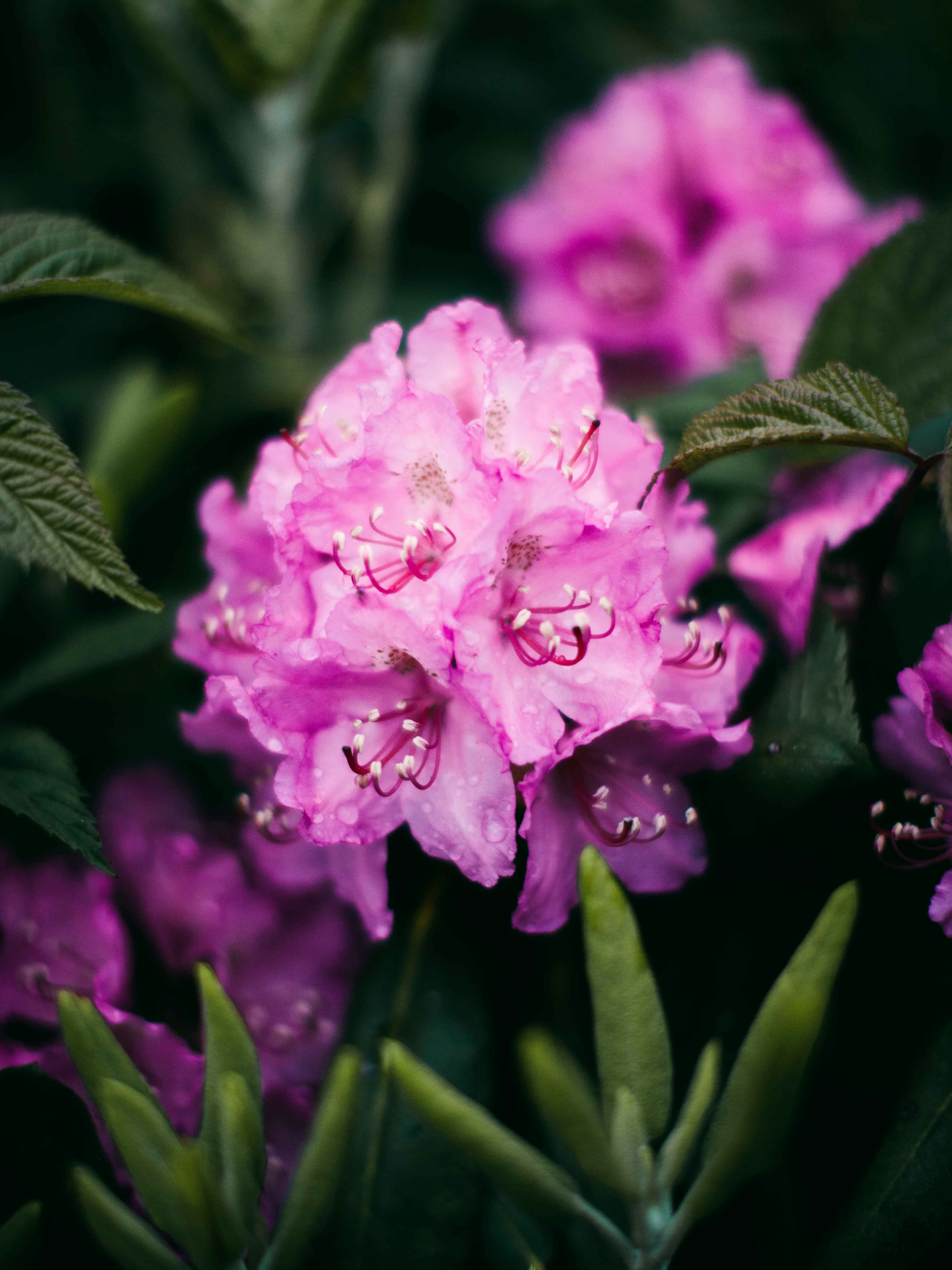 Photo by tabithaturnervisuals