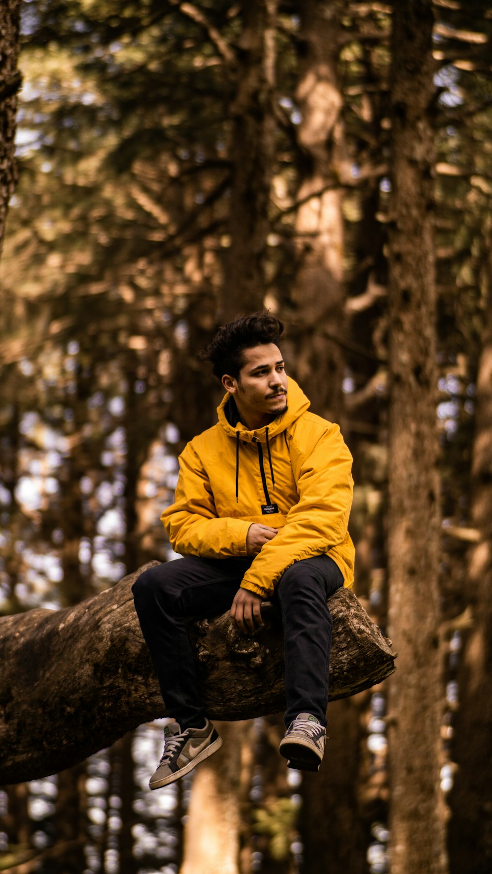 man in yellow jacket sitting on brown tree log