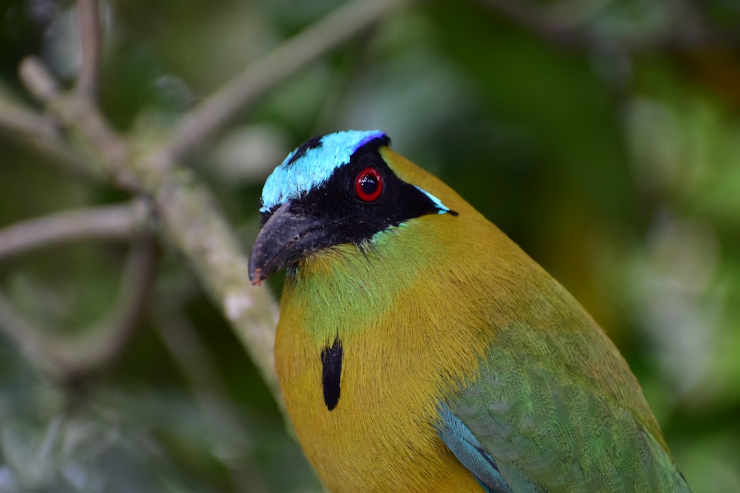 Travel Tips and Stories of Tunia-Piendamó in Colombia