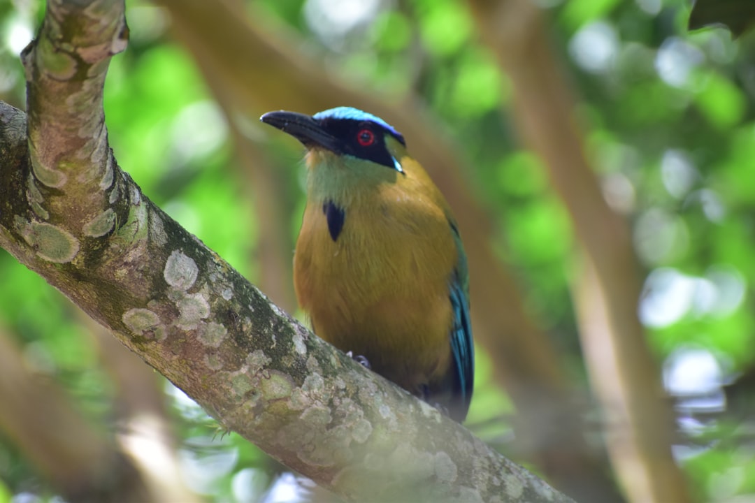 travelers stories about Nature reserve in Tunia, Colombia