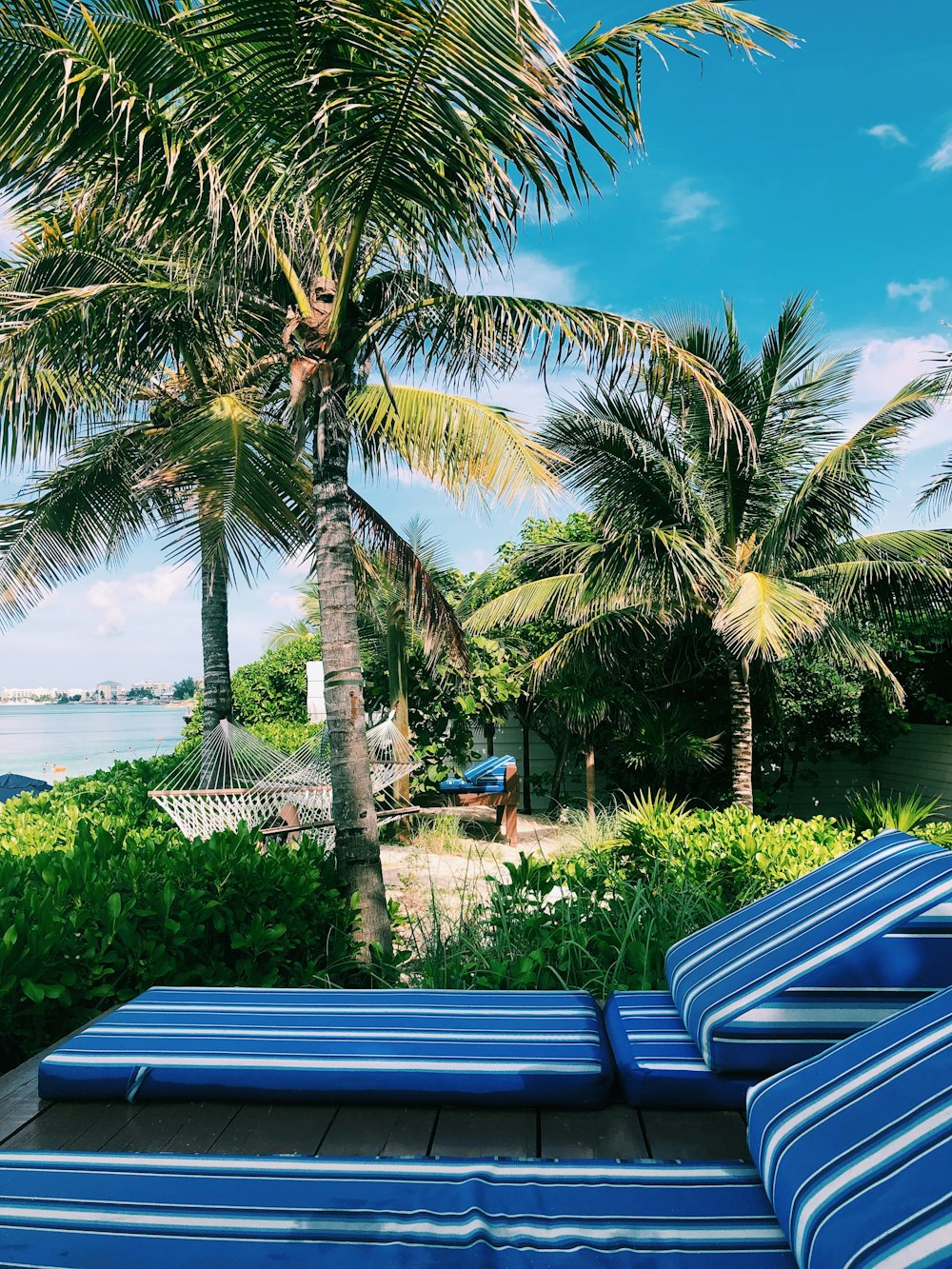 green palm tree near body of water during daytime