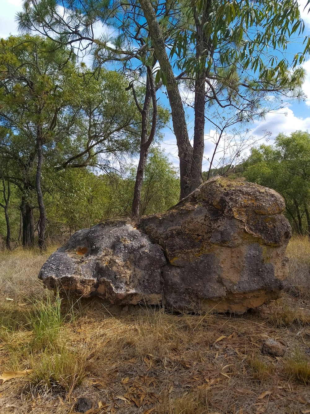 brown and gray rock on green grass field