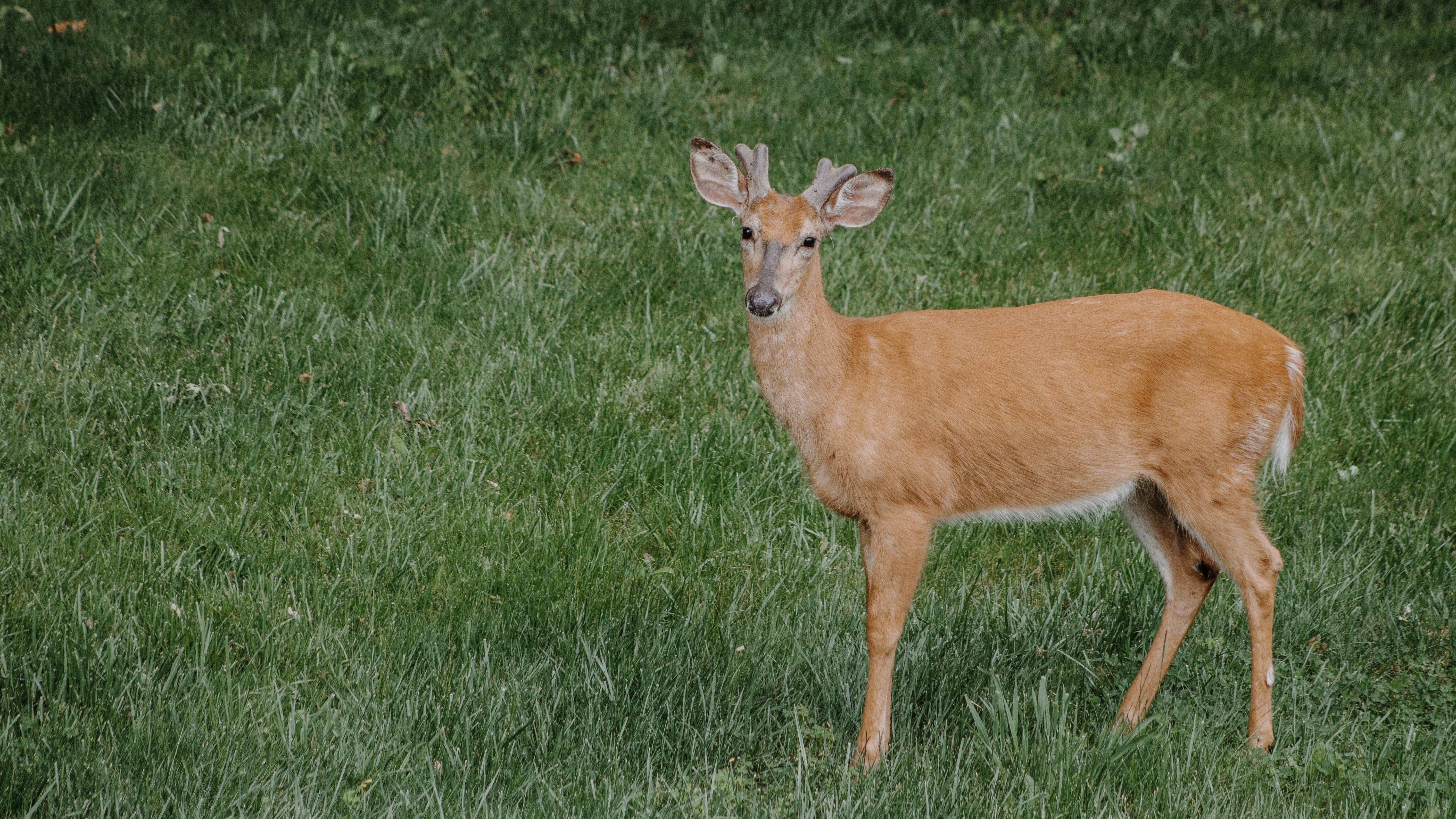 Photo by upesh_manoush