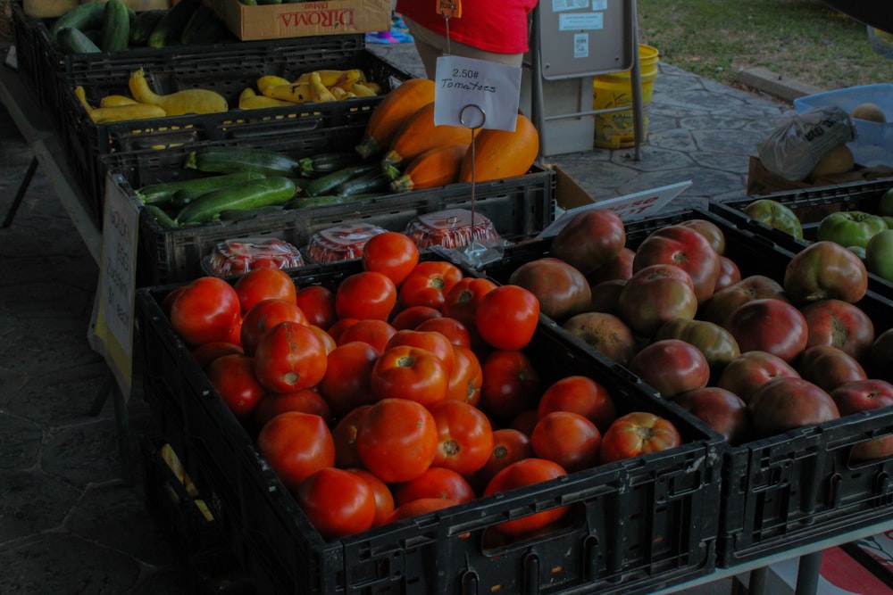 red tomatoes on blue plastic crate