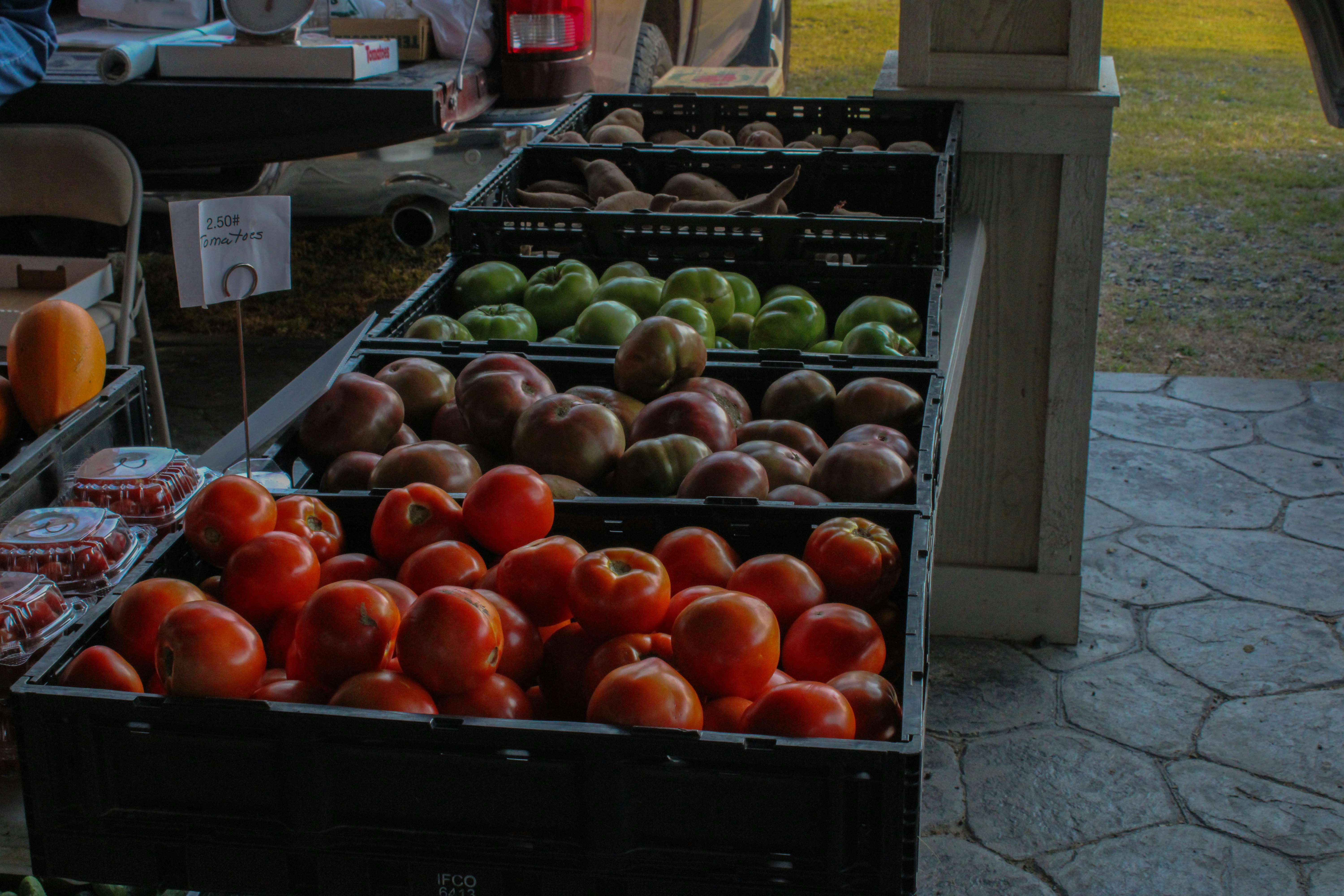 Photo by commonboxturtle