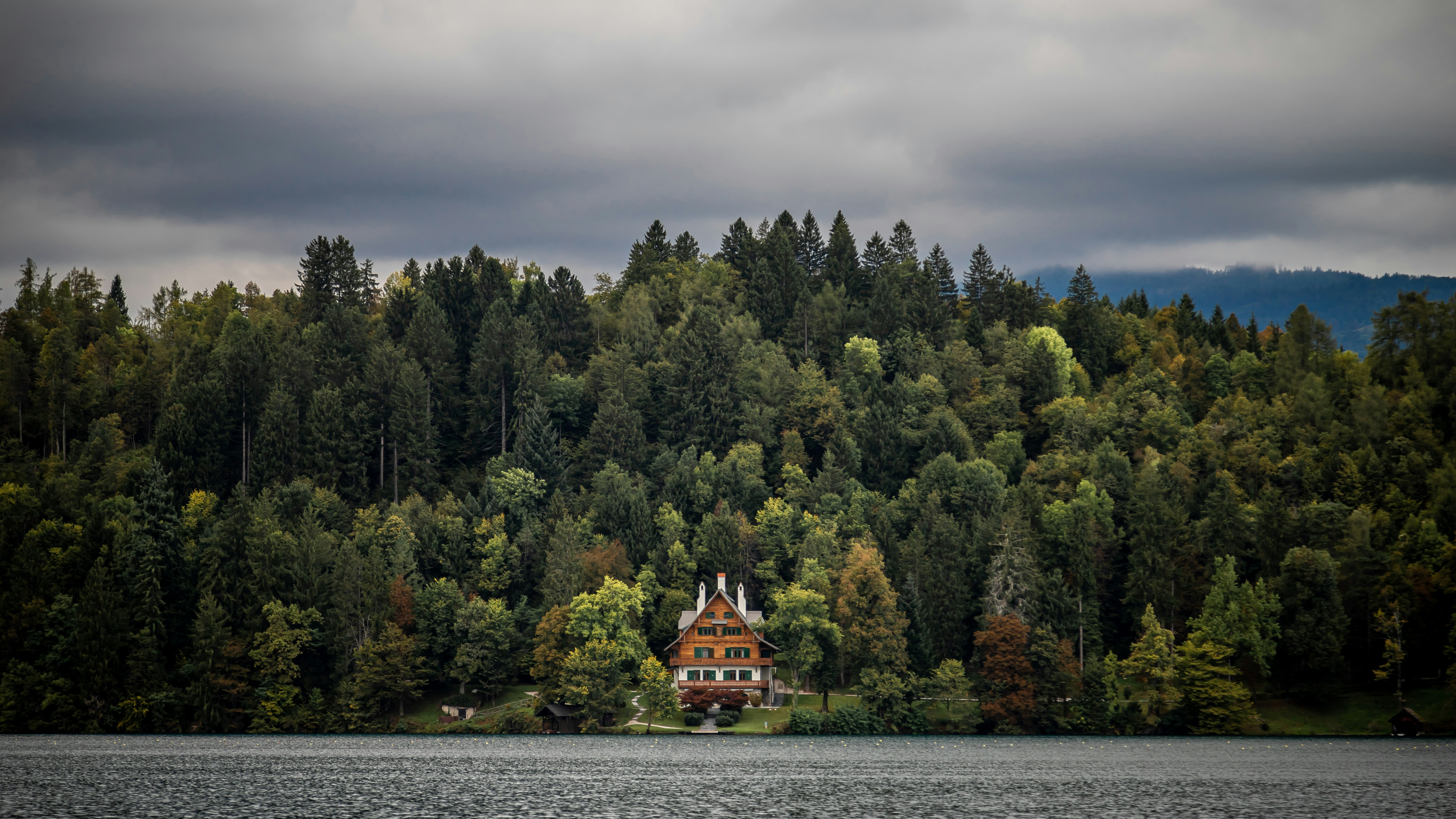 brown and white boat on water near green trees under gray clouds