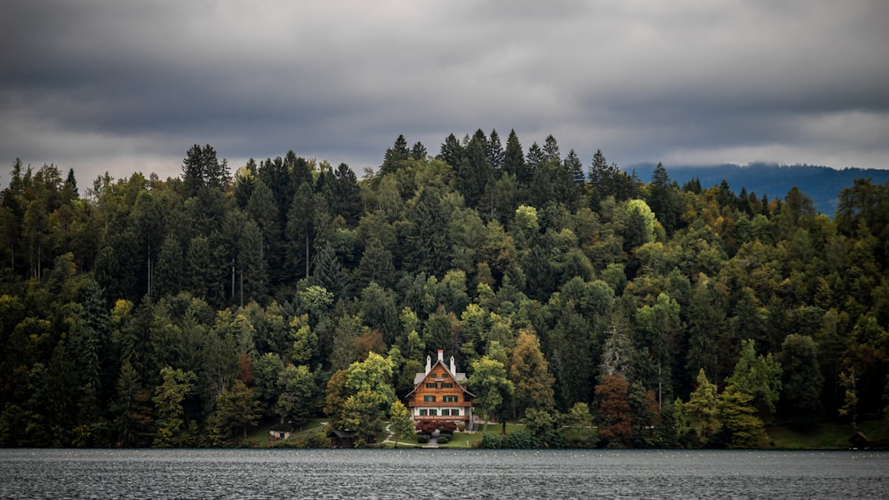 brown and white boat on water near green trees under gray clouds